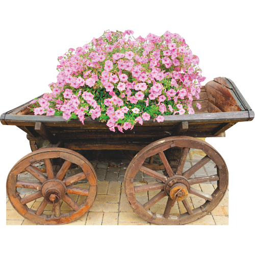 SP13119 Flower Bed Old Wooden Cart Country Western Garden Cardboard