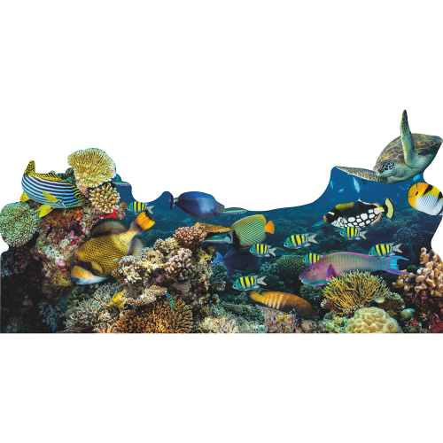 SP13144 Under Water Deep Blue Sea Paradise Coral Reef Fish Backdrop