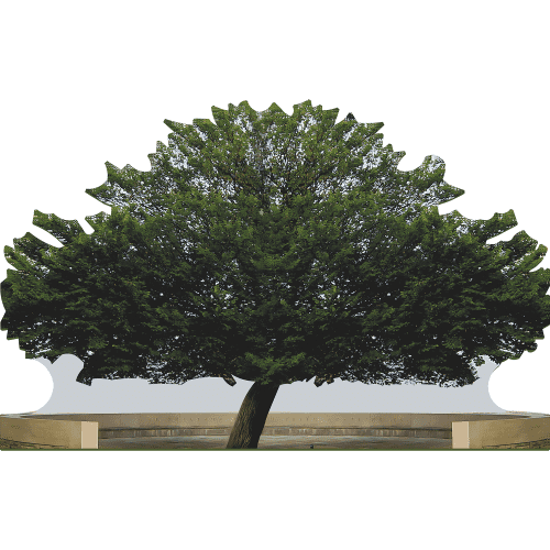 SP13151 The President Giant Sequoia Tree California Cardboard Cutout Standee Standup