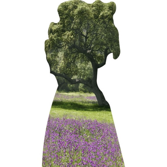 SP13251 Holm Oak Picci Tree Italy Cardboard Cutout Standee Standup
