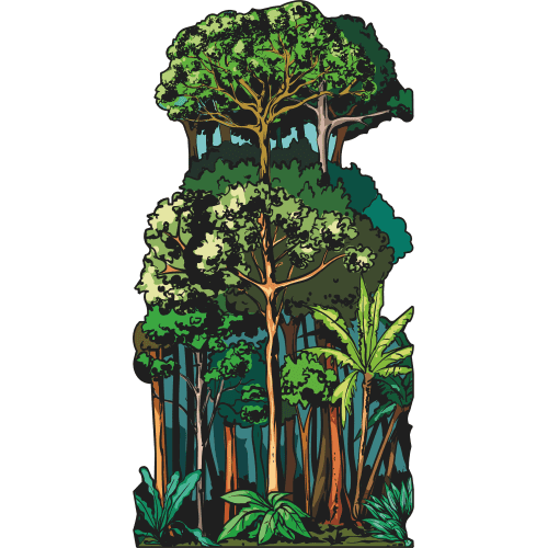 SP13340 Rain Forest Illustration Trees and Grass Cardboard Cutout Standee Standup