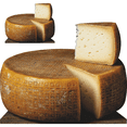 thumbnail image 1 of SP13352 Whole Imported Cheese Wheel Blue Irish Cheddar Italian Parmesan Parmigiano Cardboard Cutout Standee Standup, 1 of 1