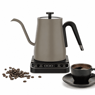 SpaceMuse 0.8L Electric Kettle with Temperature Control, Premium Stainless Steel Gooseneck Pour Over Coffee Kettle, 1350W Rapid Heating, Titanium