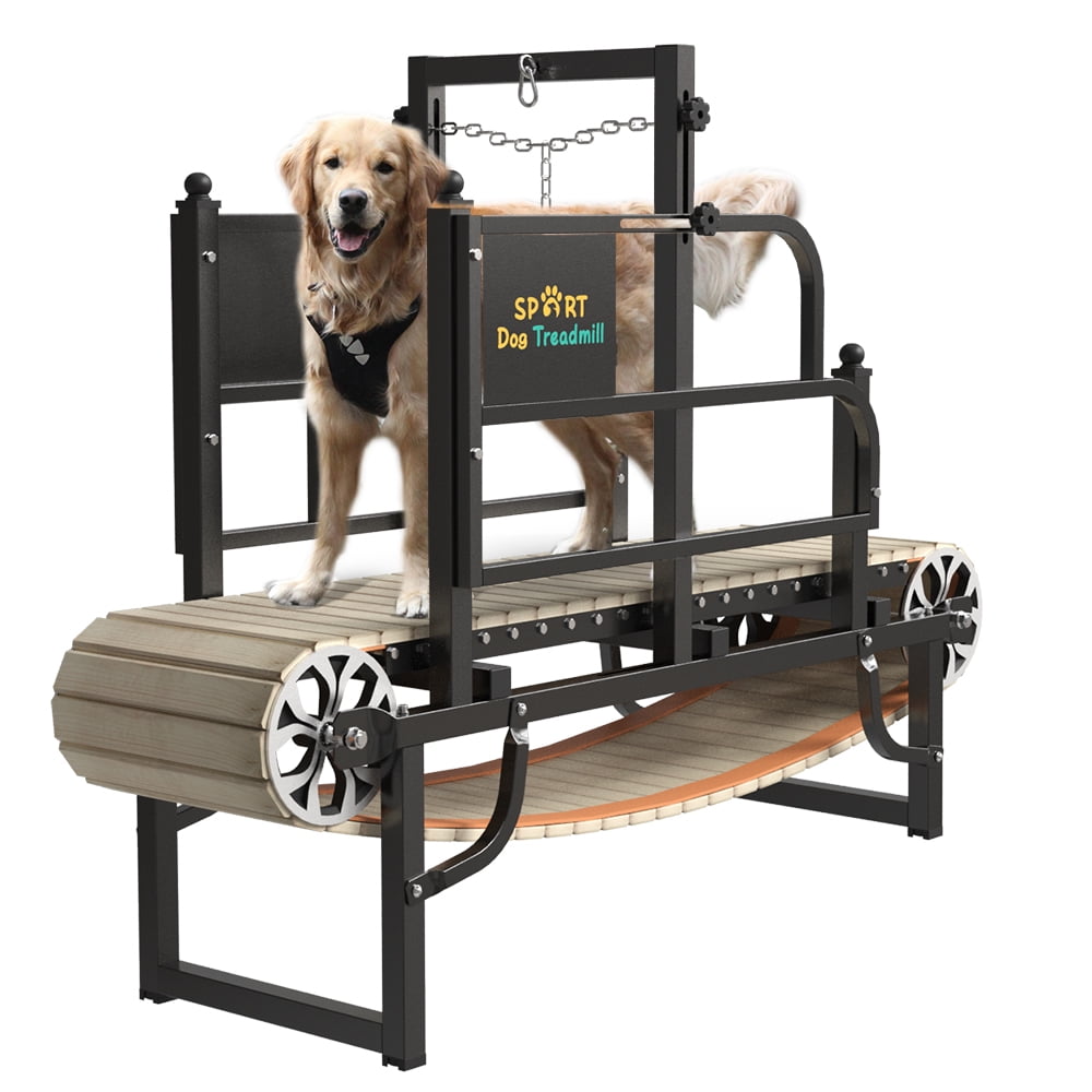 SPART Cinta de Correr para Perros Medianos y Grandes para Interiores y