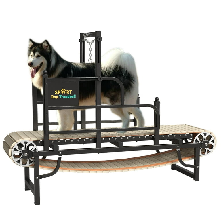 Non motorized dog treadmill sale