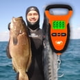 thumbnail image 1 of SPEARFISHING WORLD Waterproof Compact Hanging Fishing Scale for Fish Weighing Luggage and more with Digital Backlit LCD Display 110lb/50kg, 1 of 7