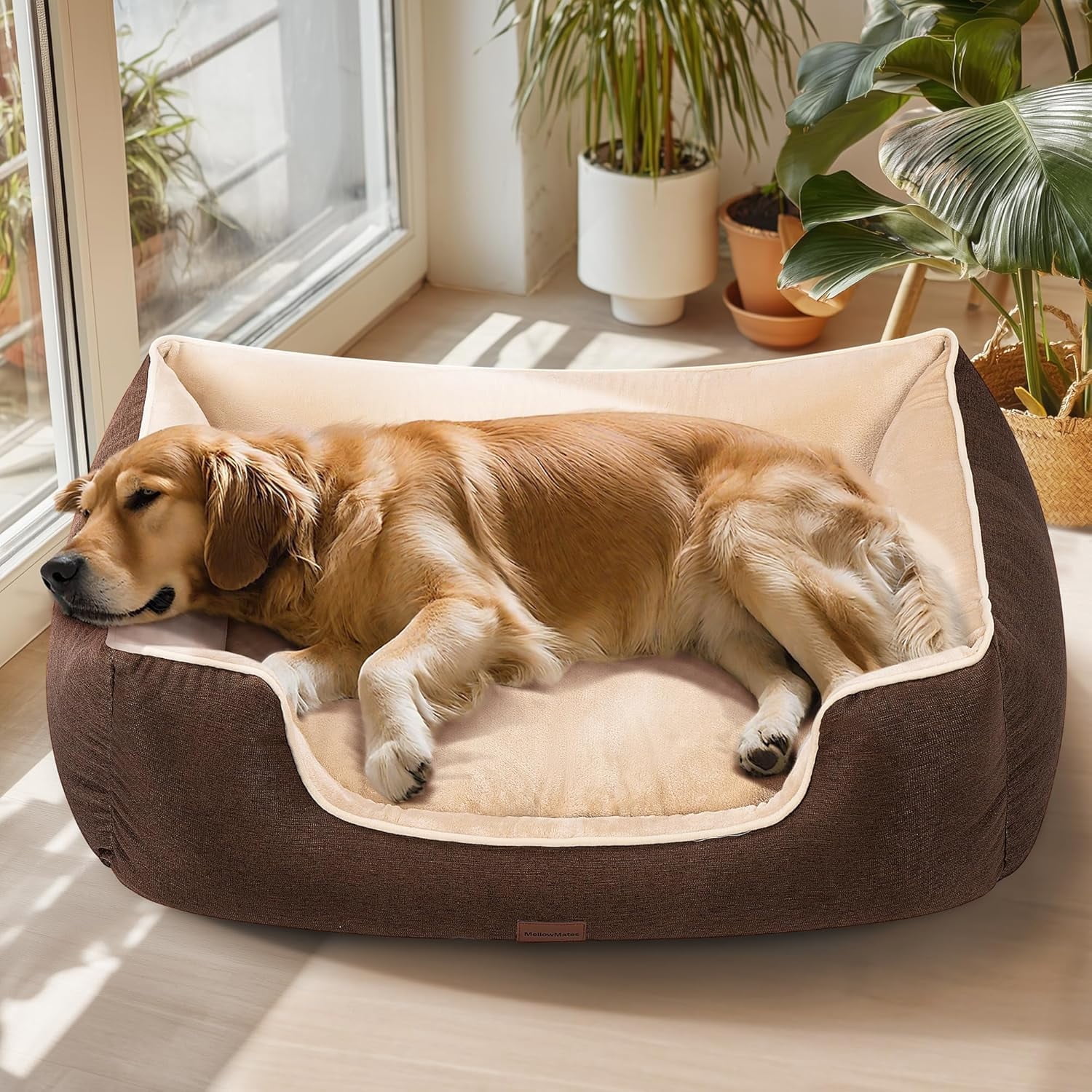 SPECSTAR 44" Orthopedic Dog Bed with Egg-Crate Foam and Pillow Filling for Large Dogs – Dual-Layer Interior Extra Support for Joint Pain, Dual-Sided Cooling & Warming for All Seasons, Brown