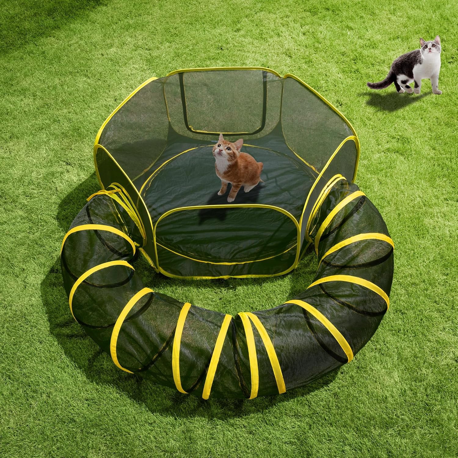 Outdoor Cat Enclosures 2-in-1 Portable Catio with Cat Tent, Circle Playpen Tunnel