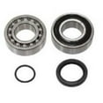 thumbnail image 1 of Spi Chaincase Bearing Kit, 1 of 1