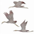 thumbnail image 1 of SPI Home 80131 Set of 3 Crane Wall Plaque, 1 of 1