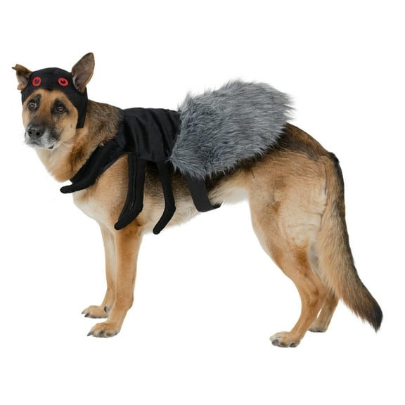 Vibrant Life Halloween Spider Costume for Dogs, Black, Large
