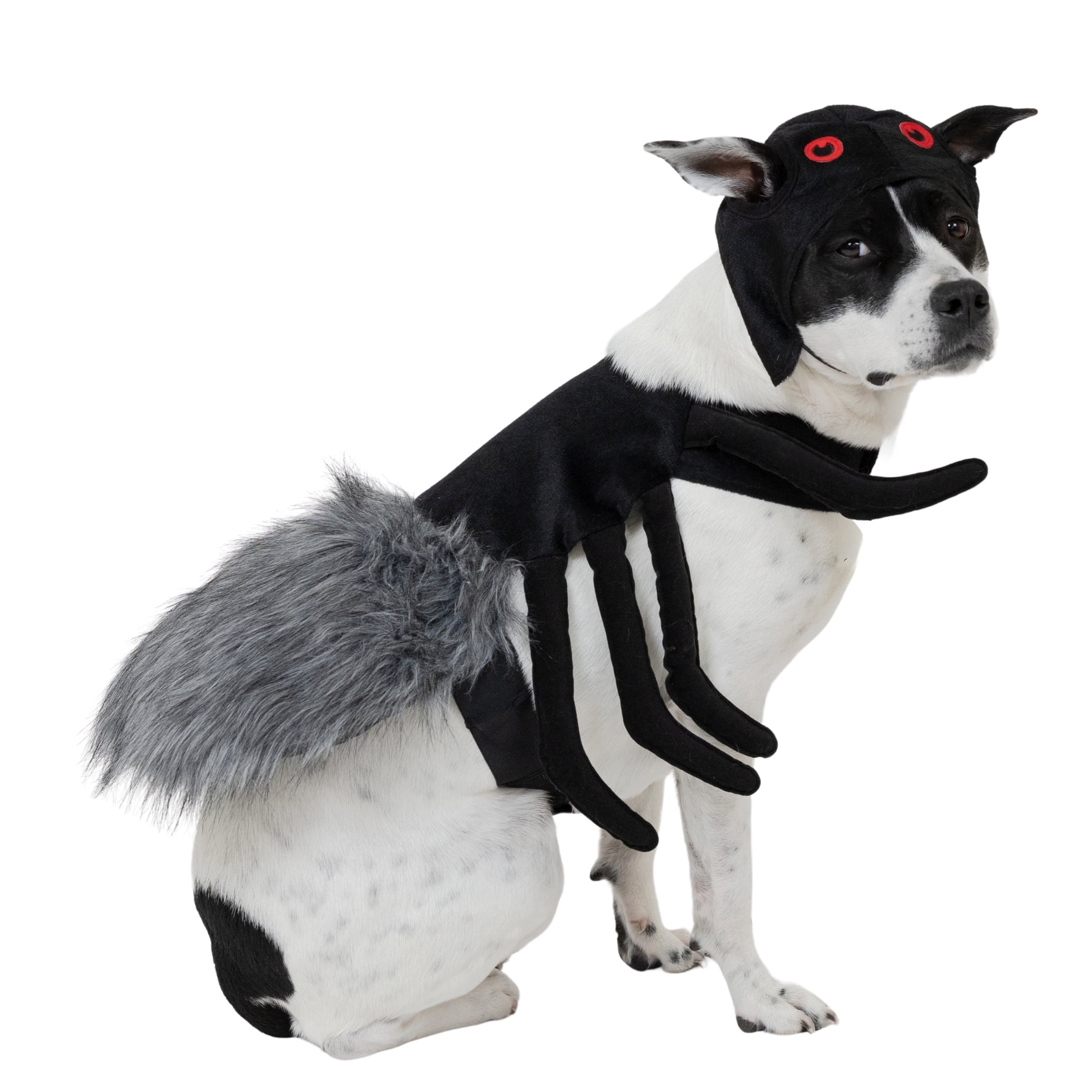 Vibrant Life Halloween Spider Costume for Dogs, Black, Medium