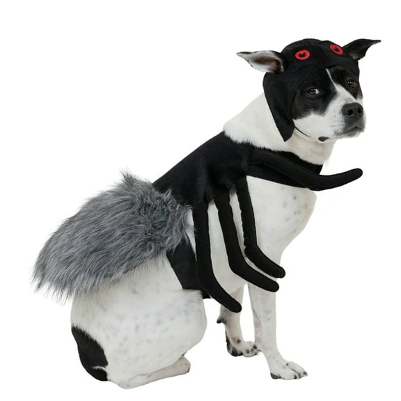 Vibrant Life Halloween Spider Costume for Dogs, Black, Medium