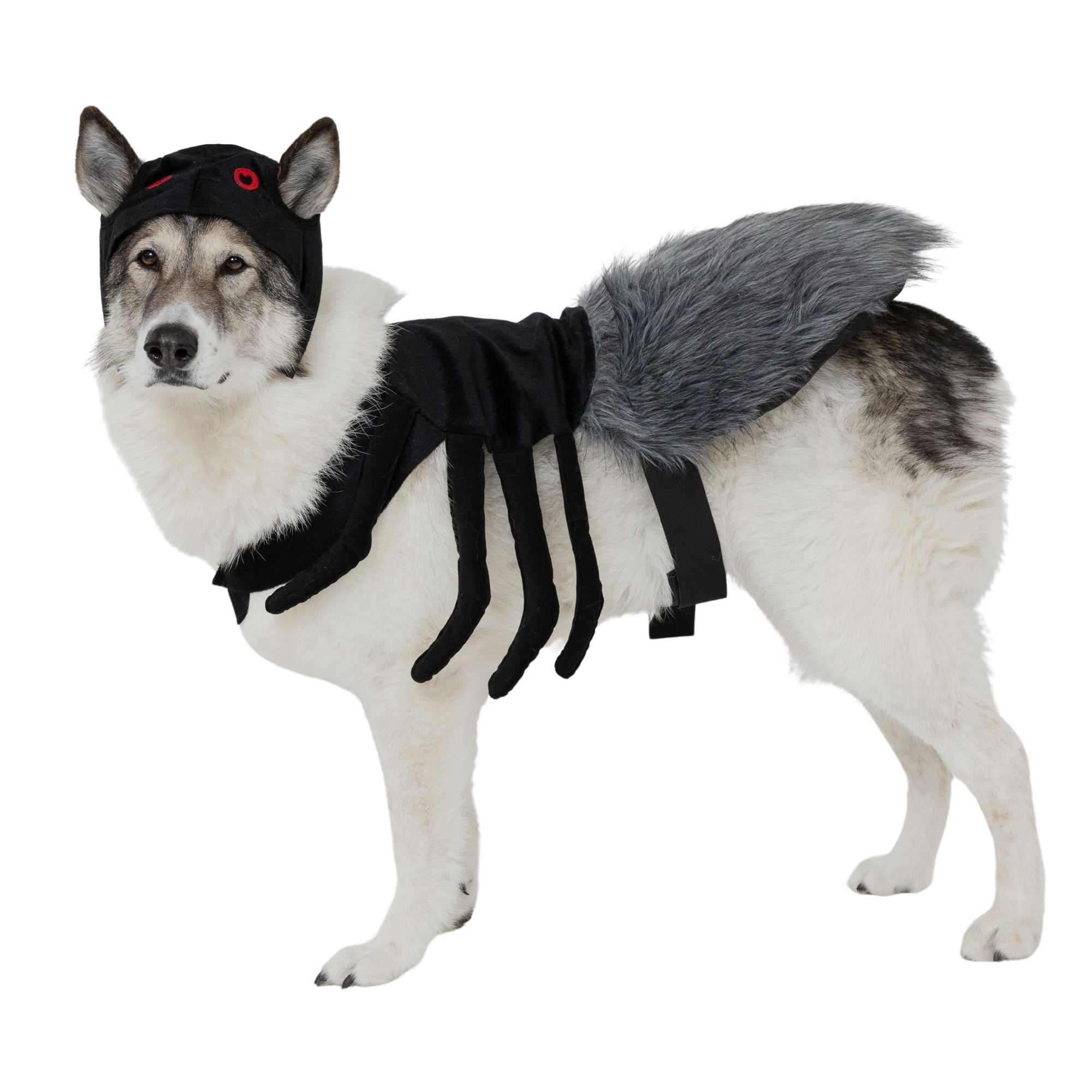 Vibrant Life Halloween Spider Costume for Dogs, Extra Large