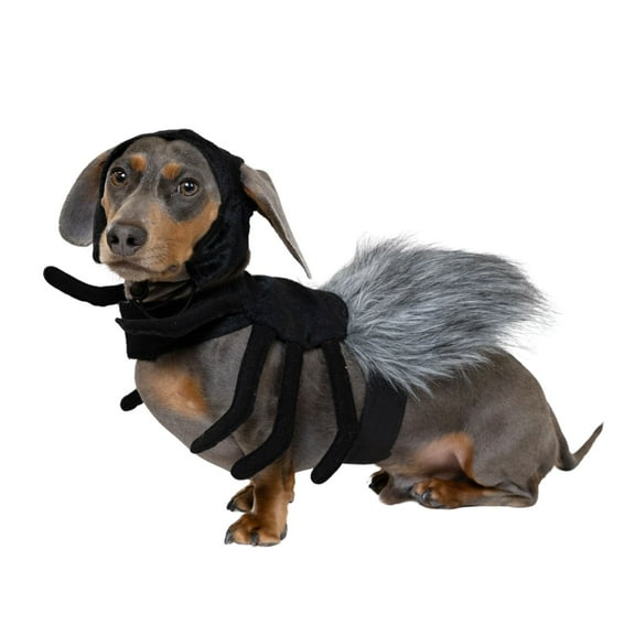 Vibrant Life Halloween Spider Costume for Dogs & Cats, Black, Extra Small