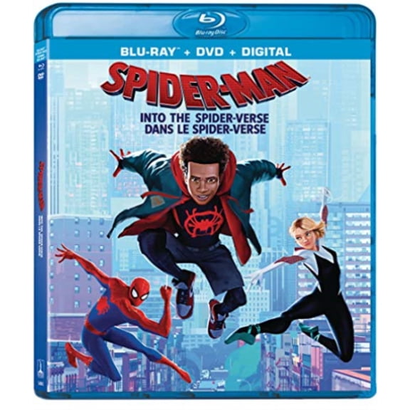 SPIDER-MAN: INTO THE SPIDER-VERSE