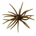 thumbnail image 1 of Headhunter Spider Monkey Plastic Urchin Bait Pumpkin Magic, 1 of 6