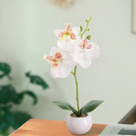 SPOORYYO Artificial Phalaenopsis Orchid in Ceramic Pot, Lifelike Silk Flowers, 28cm, for Home Decor