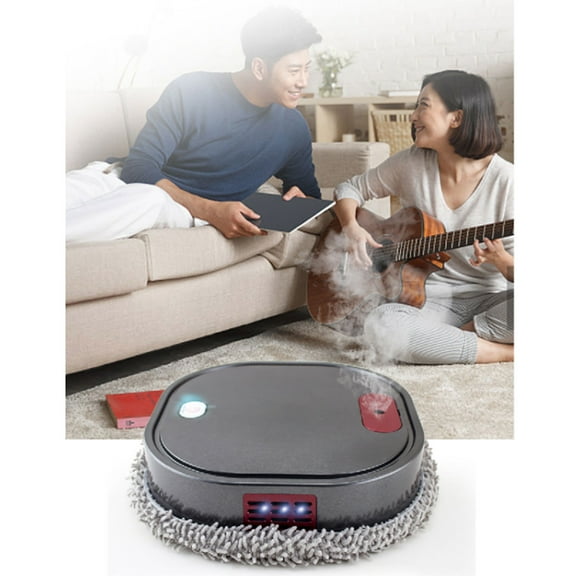 SPOORYYO Intelligent Sweeping Robot Vacuum Cleaner, 4-in-1 with Rotating Brushes, 90min Runtime, 2.4" Low Profile for Under Furniture, Wet/Dry Cleaning for Hard Floors, Gray