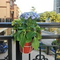 thumbnail image 1 of SPOORYYO Iron Hanging Plant Holder Over The Rail Metal Fence Planters,Iron Flower Pot Hanger - Balcony and Garden Flower Basket for Plants and Bonsai, 1 of 6
