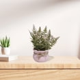 thumbnail image 1 of SPOORYYO Mini Simulated Potted Flower, Lifelike Artificial Plant, Home Decor, Wedding Accent, Photography Prop, 1 of 6