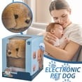 thumbnail image 1 of SPOORYYO Realistic Simulated Electric Dog Plush Toy - Barking, Walking & Interactive Pet Sounds | Kids Gift for Imaginative Play, 1 of 9