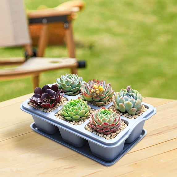 SPOORYYO Nursery Pots with Tray, Mini Flower Plant Containers for Cactus, Flowers & Small Plants, Indoor Outdoor Home Garden Kitchen Decor