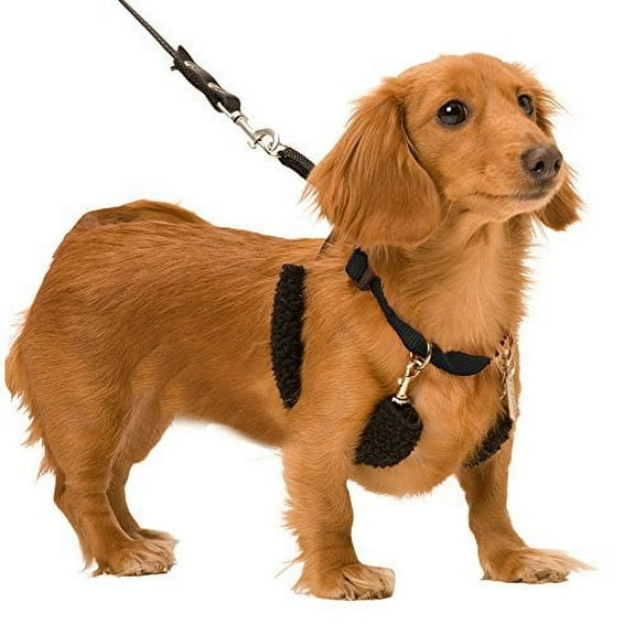 SPORN Dog Halter, Black, Small