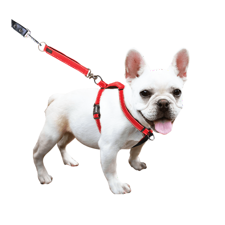 Sporn harness cheap