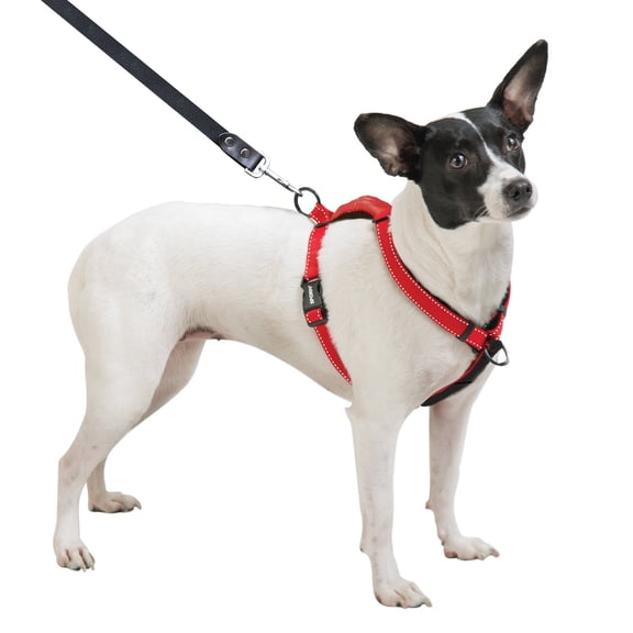 Sporn Ultimate Control Reflective No Pull Dog Harness, Adjustable Nylon Walking Harness for Medium Dogs, Red, 19.5–32 in Girth