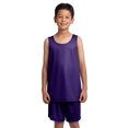 thumbnail image 1 of SPORT-TEK YOUTH POSICHARGE CLASSIC MESH REVERSIBLE TANK F20, 1 of 6