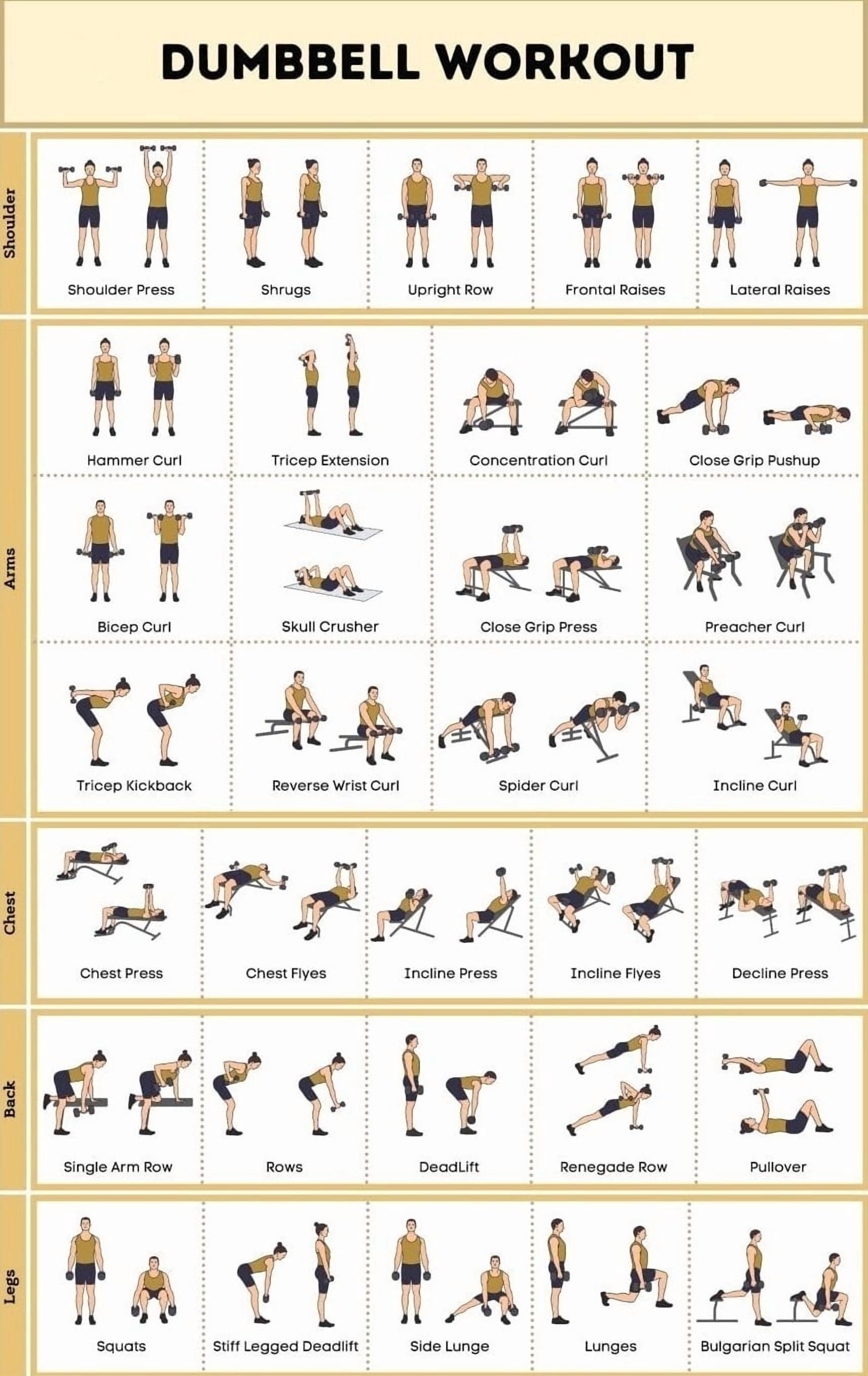 Dumbbell Workout Poster  No-Equipment Exercise Poster for Home, Gym Training