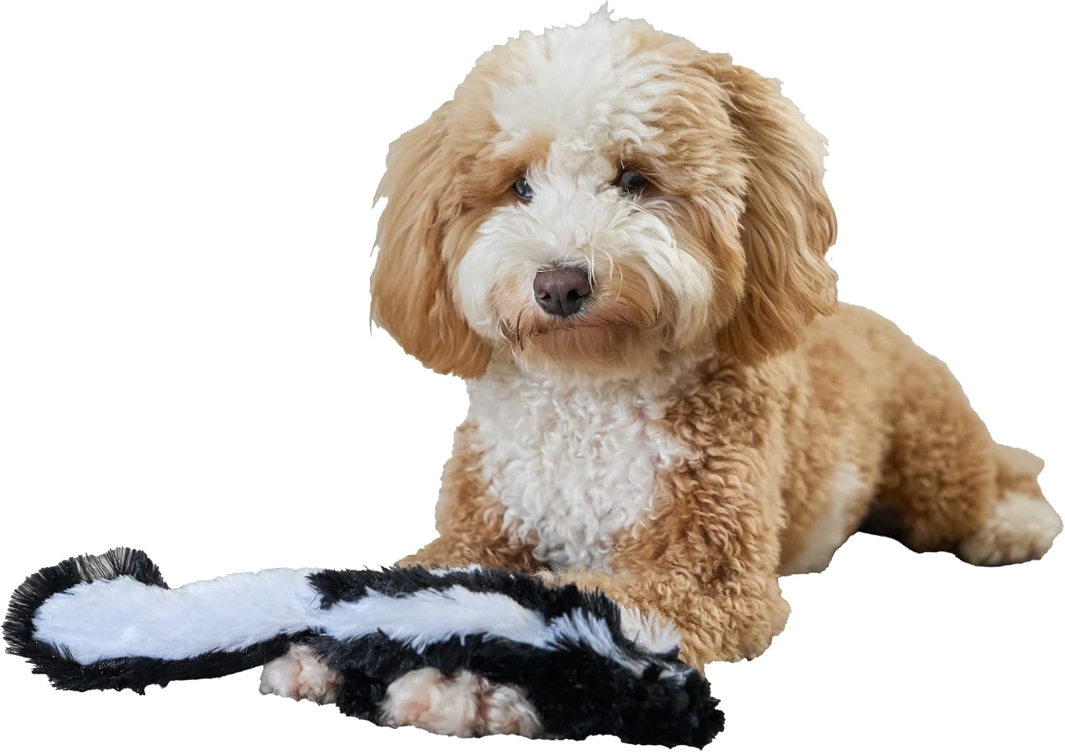 SPOT Skinneeez Super-Soft Plush Skunk Dog Toy, Stuffing-Free