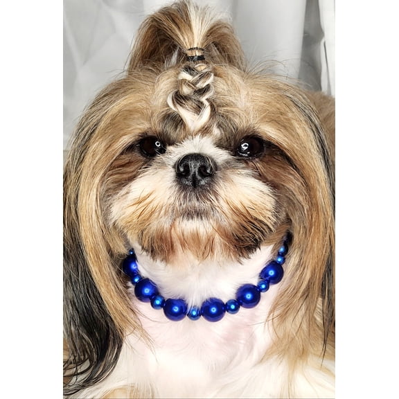 SPPB Royalty Pets Beaded Fashion Dog Collar, Blue