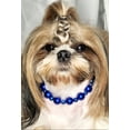 thumbnail image 1 of SPPB Royalty Pets Beaded Fashion Dog Collar, Blue, 1 of 6