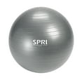 thumbnail image 1 of SPRI Weighted Stability Exercise Ball, 65CM, Grey, 1 of 5