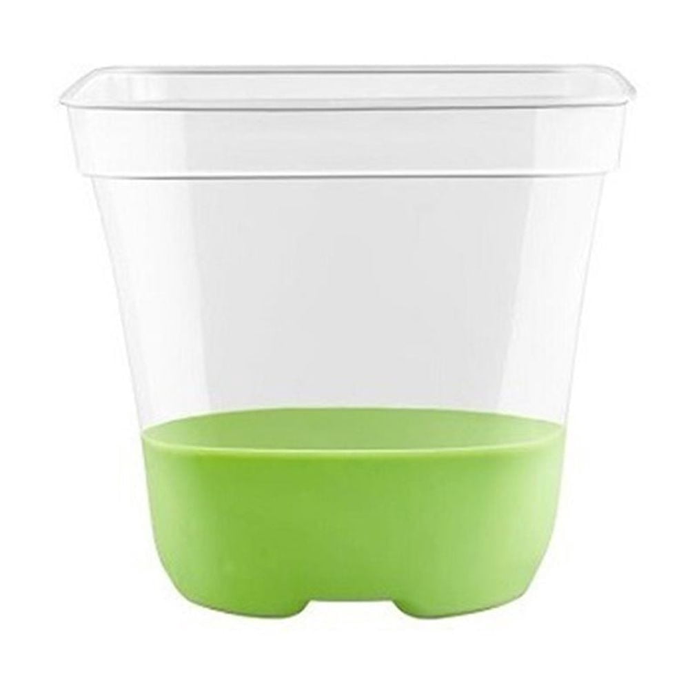 SPRING 12 Clear Reusable Plant Pots with Silicone Base,Drainage Holes ...