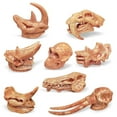thumbnail image 1 of SPRING PARK 1 Set Fossil Toys for Early Childhood Education Cognition, Dinosaur Skull High Simulation Aquarium Decor Plastic Fossil Teaching Skeleton Model, 1 of 7