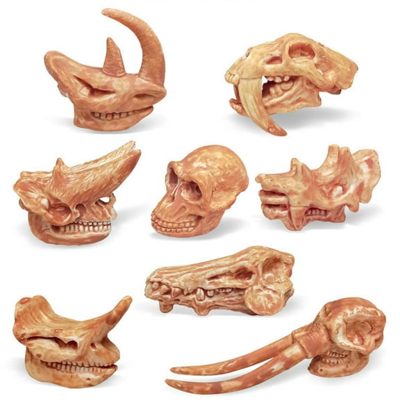 SPRING PARK 1 Set Fossil Toys for Early Childhood Education Cognition, Dinosaur Skull High Simulation Aquarium Decor Plastic Fossil Teaching Skeleton Model
