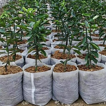 SPRING PARK 100 Pcs 8x10cm Fabric Plant Grow Bags with Nursery Seed Raising for Garden