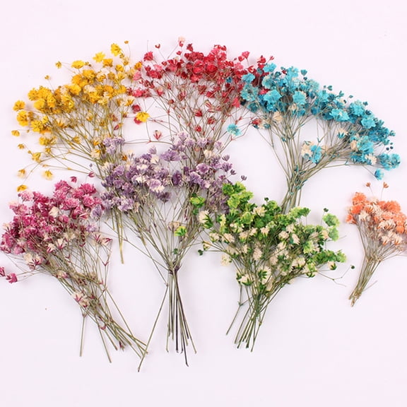 SPRING PARK 12Pcs Pressed Dried Flowers for DIY Arts Crafts Resin Jewelry Making Accessory