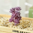 thumbnail image 1 of SPRING PARK 1Pc Artificial Succulent Flowers Plant Desktop Faux Succulent Bonsai Home Decor, 1 of 7