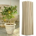 thumbnail image 1 of SPRING PARK 50Pcs Bamboo Wooden Plant Sticks Canes Garden Plants Support Flower Cane, 1 of 6