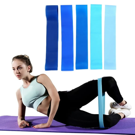 SPRING PARK 5Pcs Blue Multi-scene Resistance Loop Exercise Bands for Home Fitness, Stretching, Strength Training, Physical Therapy, Workout Bands, Pilates Flexbands
