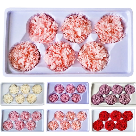 SPRING PARK 6PCs/Box Artificial Carnation Flowers Heads Handmake Wedding Decoration DIY Party Home Decor Wreath Gift Box Scrapbooking Craft Fake Flowers