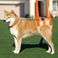 thumbnail image 1 of SPRING PARK Adjustable Double Fixed Buckle Dog Lift Harness for Back Legs Pet Support Leg Harness Rear Sling Help Weak Dog, 1 of 7