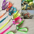 thumbnail image 1 of SPRING PARK Adjustable Soft Reptile Lizard Harness,Small, (10" to 15" Chest Size), 1 of 6