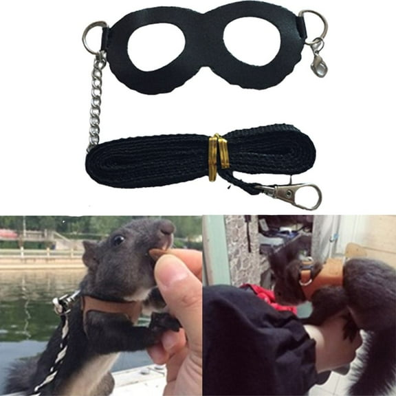 SPRING PARK Anti-knot Anti-biting Faux Leather Harness Strap for Squirrel Pet Walking Lead Control Rope Chest for Daily Life
