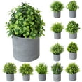 thumbnail image 1 of SPRING PARK Artificial Grass Potted Plants Bonsai Home Garden Wedding Decor Nordic Style, 1 of 7