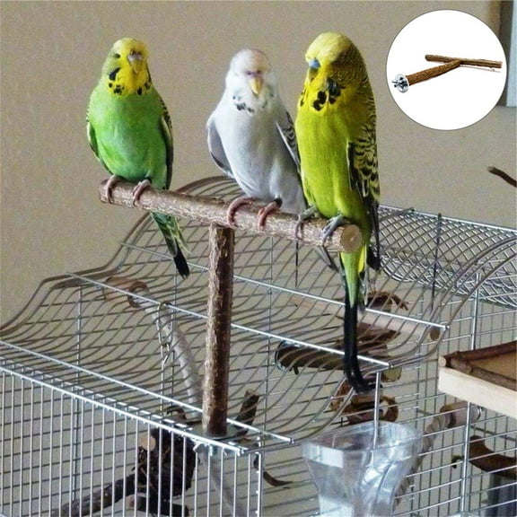 SPRING PARK Bird Perch Parakeet Bird Parrot Natural Wood T Shape Stand Bird Stand Toys for Conure Supplies Budgie Platform